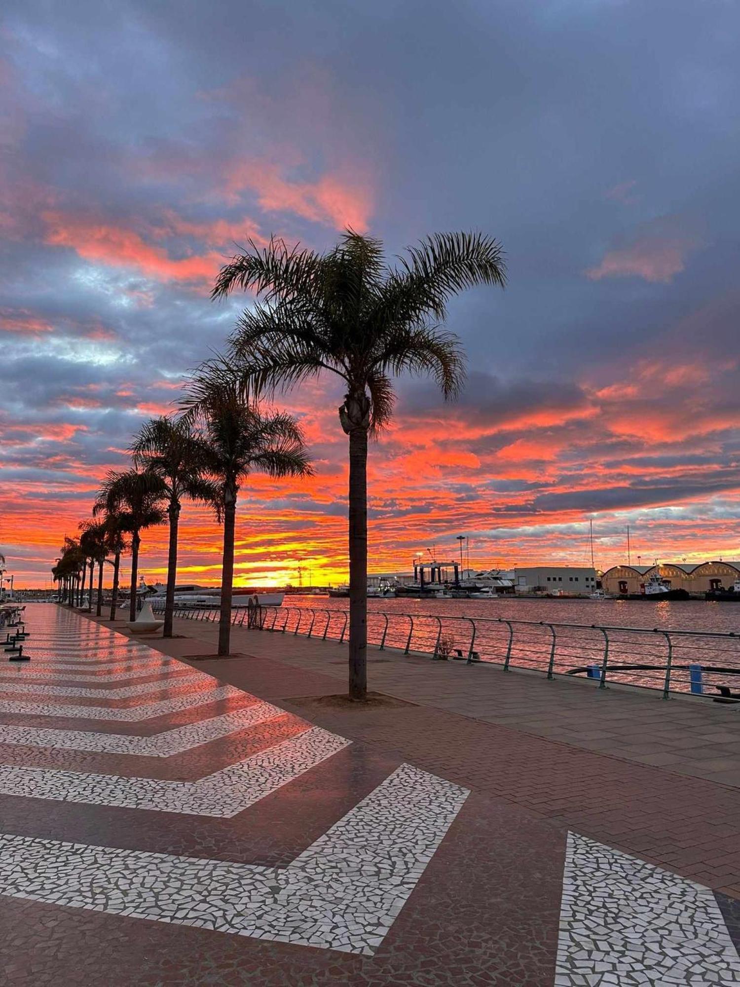 Apartament Ambar Gandia Playa-Grao Con Piscina Parking Ideal Para Familias Esterno foto